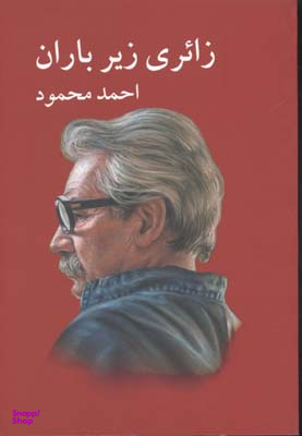 زایری زیر باران