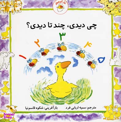 کتاب غاز کوچولو چی دیدی، چند تا دیدی؟ اثر استیو ودریل انتشارات با فرزندان (بازی فکری)