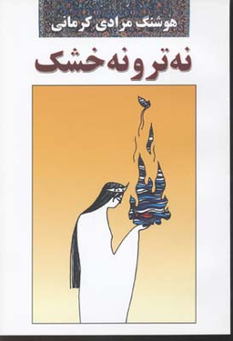 کتاب نه تر و نه خشک اثر هوشنگ مرادی کرمانی انتشارات معین