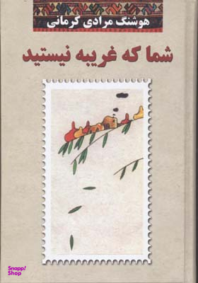 کتاب شما که غریبه نیستید اثر هوشنگ مرادی کرمانی انتشارات معین