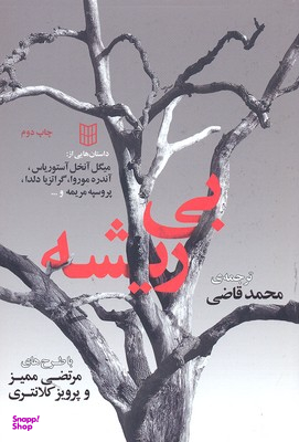 بی‌ریشه ( خارجی)
