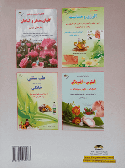 کتاب سنگ درمانی اثر کاظم کیانی و هانیه صفری انتشارات زر قلم
