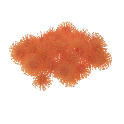 ساختنی طرح بانچمز کد 150