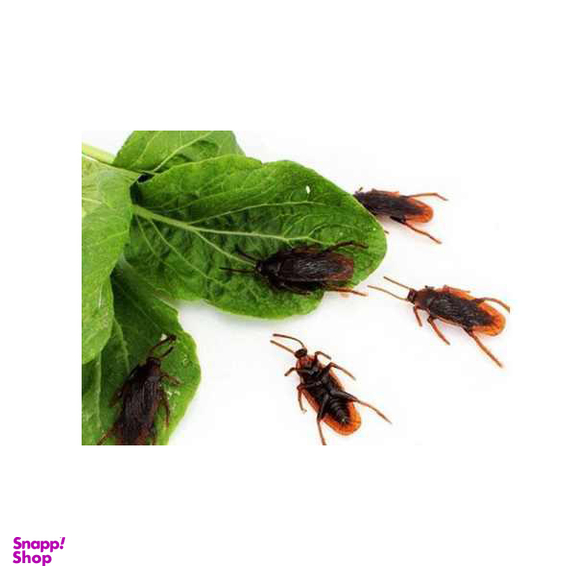 ابزار شوخی طرح سوسک مدل sger-25 بسته 5 عددی