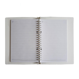 دفتر کلاسوری پاپکو مدل NB-636 کدP3