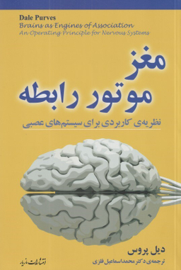مغز موتور رابطه