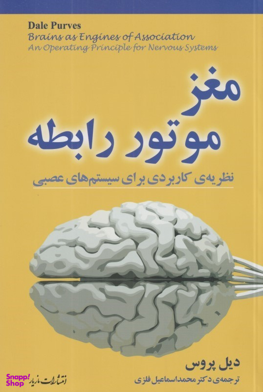 مغز موتور رابطه