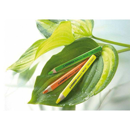 مداد هایلات استابیلو مدلGreenlighter کد 6007/24