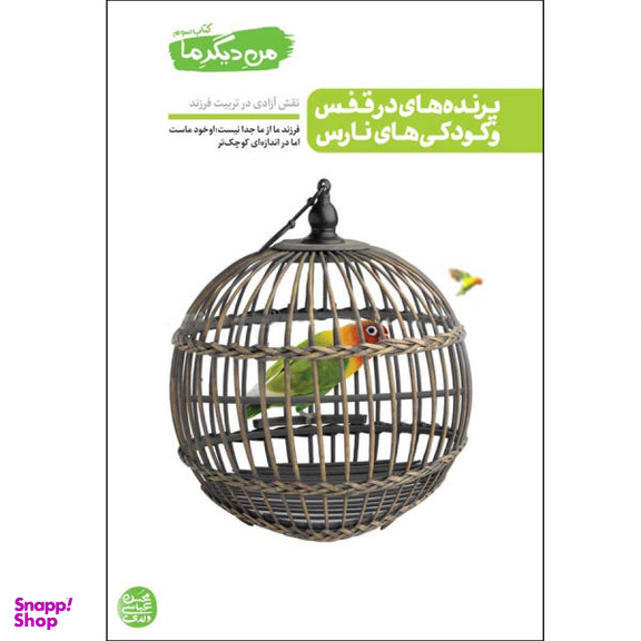 کتاب پرنده های در قفس و کودکی های نارس اثر محسن عباسی ولدی نشر آیین فطرت