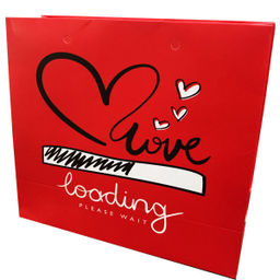 ساک هدیه مدل Ba12279