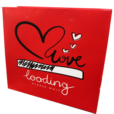 ساک هدیه مدل Ba12279