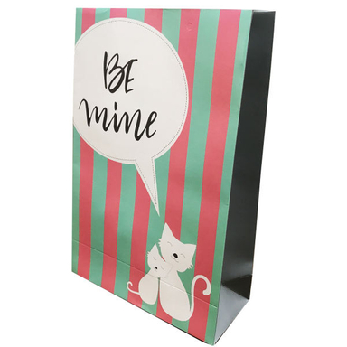 ساک هدیه مدل Ba13262