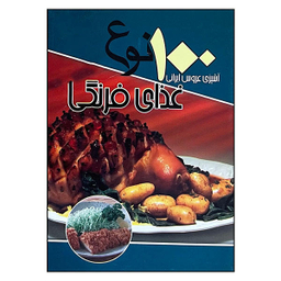 کتاب 100 نوع غذای فرنگی اثر سید علی اکبر کسایی نشر انسان برتر