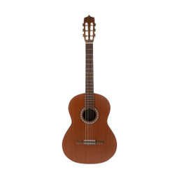 گیتار پارسی مدل M6