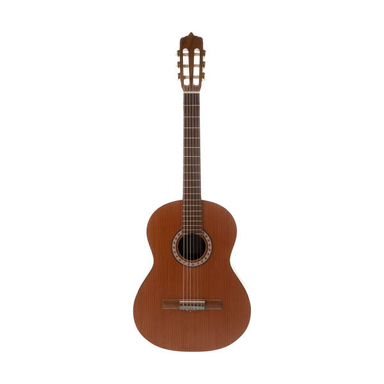 گیتار پارسی مدل M6