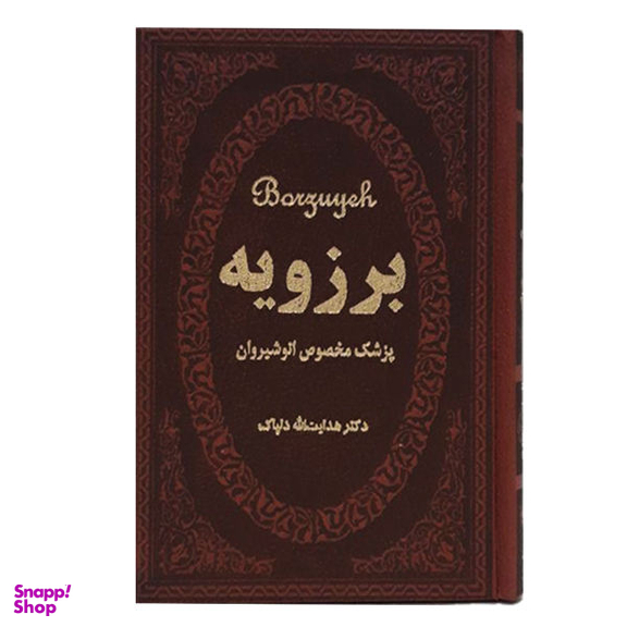 کتاب برزویه اثر هدایت اله دلپاک نشر پارمیس