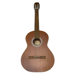 گیتار طرح پارسی مدل P40