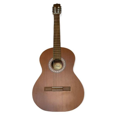 گیتار طرح پارسی مدل P40