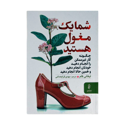 کتاب شما یک مغول هستید اثر تیفانی فام نشر البرز