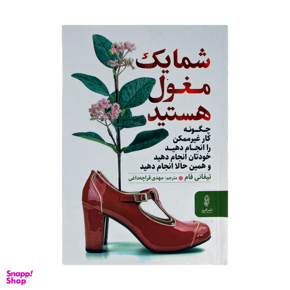 کتاب شما یک مغول هستید اثر تیفانی فام نشر البرز