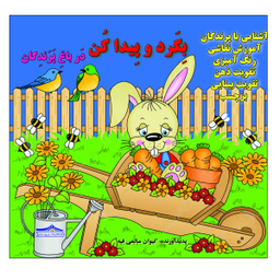 کتاب بگرد و پیدا کن در باغ پرندگان اثر کیوان سالمی فیه انتشارات زرین مهر