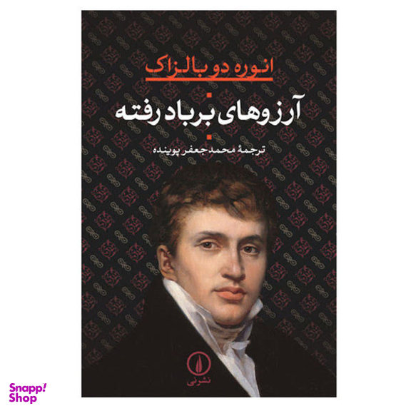 کتاب آرزوهای برباد رفته اثر اونوره دو بالزاک نشر نی