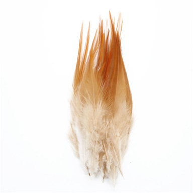 پر دریم کچر مدل rooster کد BR-01 بسته 10 عددی