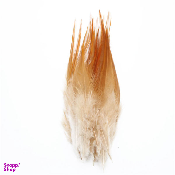 پر دریم کچر مدل rooster کد BR-01 بسته 10 عددی