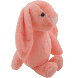 عروسک خرگوش جلی کت مدل Small Jellycat Rabbit