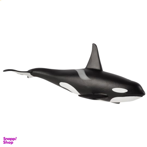 سی لند موجو (Mojo) مدل نهنگ قاتل