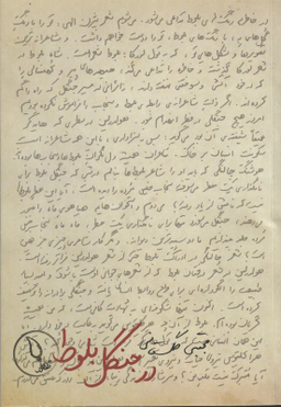 در جنگل بلوط