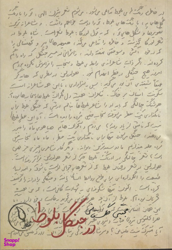 در جنگل بلوط