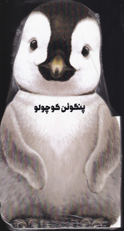کتاب پنگوین کوچولو اثر جیووانی کاویزل نشر گاج