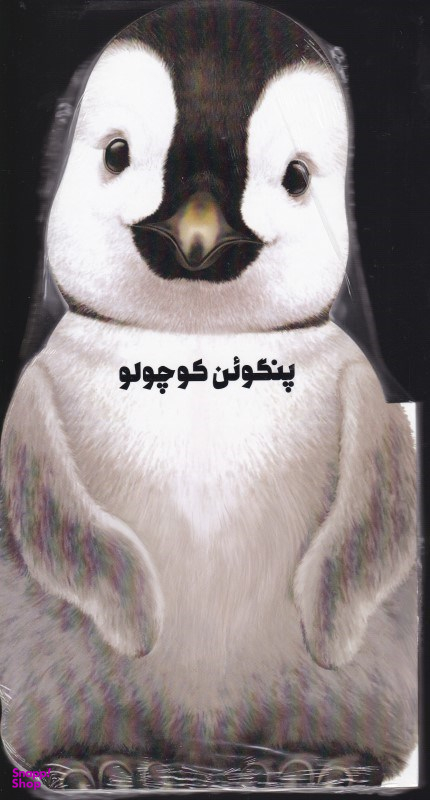 کتاب پنگوین کوچولو اثر جیووانی کاویزل نشر گاج