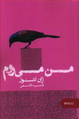 من می روم میردشتی
