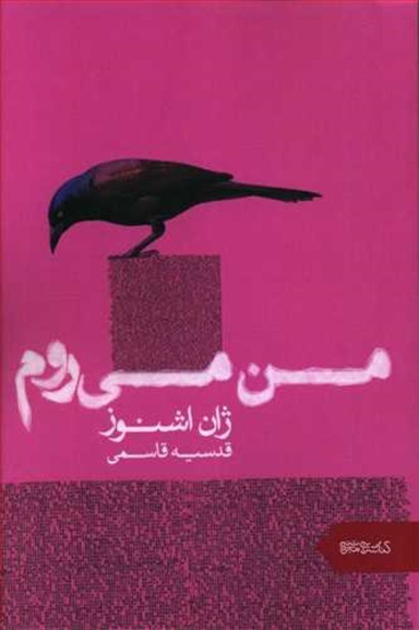 من می روم میردشتی