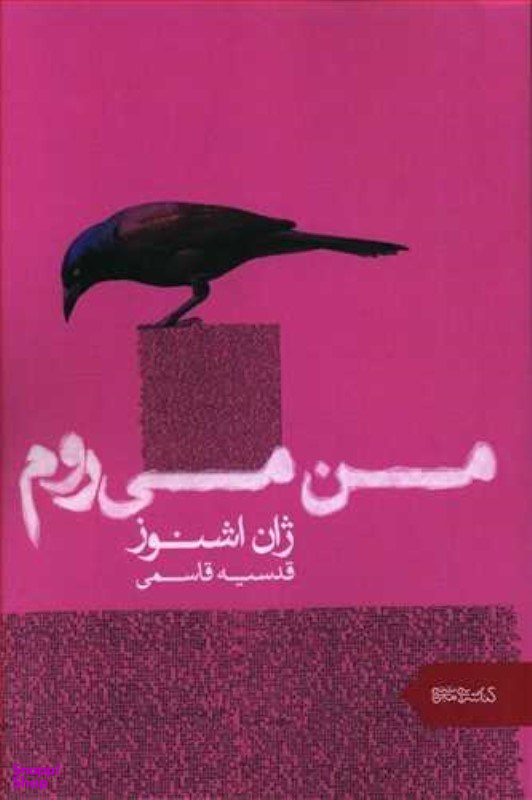 من می روم میردشتی