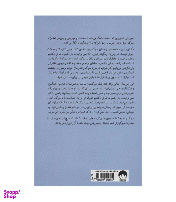 کتاب چگونه رنجی را که نمی توانیم درمان کنیم به دوش بکشیم
