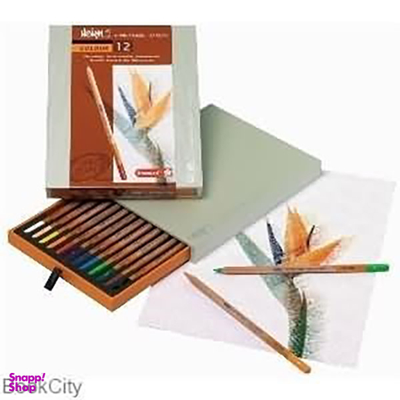 مداد رنگی 12 رنگ برونزیل (Bruynzeel) کد 8805H12 جعبه چوبی