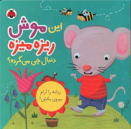 کتاب این موش ریزه میزه دنبال چی می گرده اثر جنی هو انتشارات شهر قلم