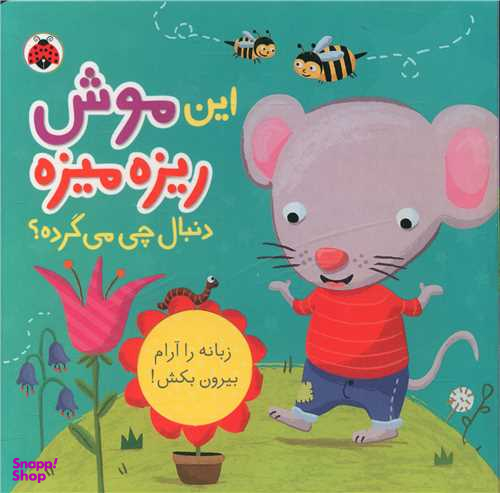 کتاب این موش ریزه میزه دنبال چی می گرده اثر جنی هو انتشارات شهر قلم