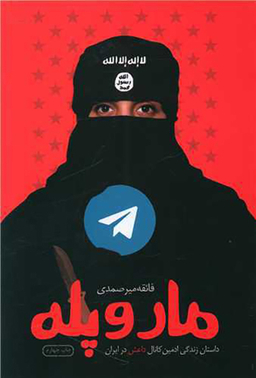مار و پله