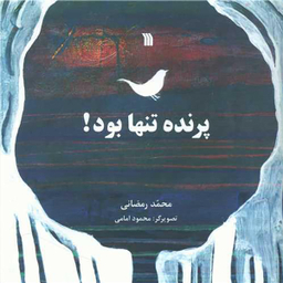 کتاب پرنده تنها بود اثر محمد رمضانی انتشارات سروش