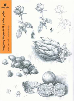 طراحی ساده از گل ها میوه ها و سبزیجات (رحلی)