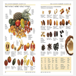 5 Language Visual Dictionary