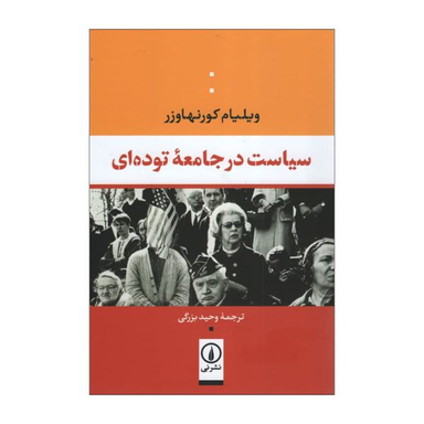 سیاست در جامعه توده ای