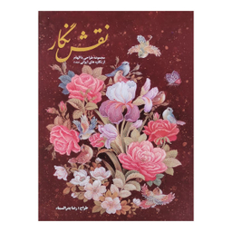 کتاب نقش نگار اثر الناز پاکپور انتشارات صدای معاصر