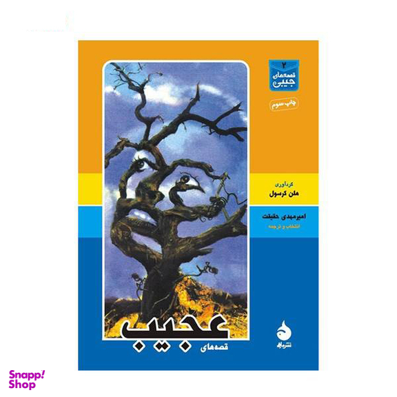 کتاب قصه های عجیب اثر جمعی از نویسندگان انتشارات هیرمند