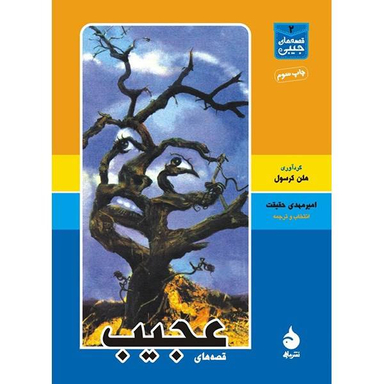 کتاب قصه های عجیب اثر جمعی از نویسندگان انتشارات هیرمند