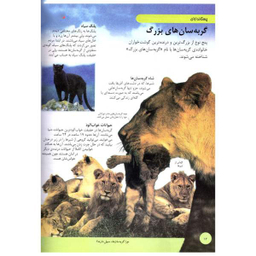 کتاب دانشنامه نوجوان (حیوانات) اثر بابک اعتمادی انتشارات پیام عدالت